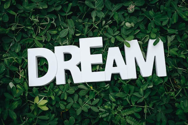 나뭇잎 위에 흰색 DREAM 글자