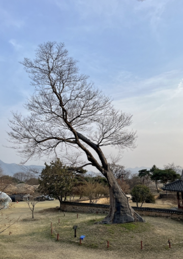 순천 가볼만한곳 베스트10