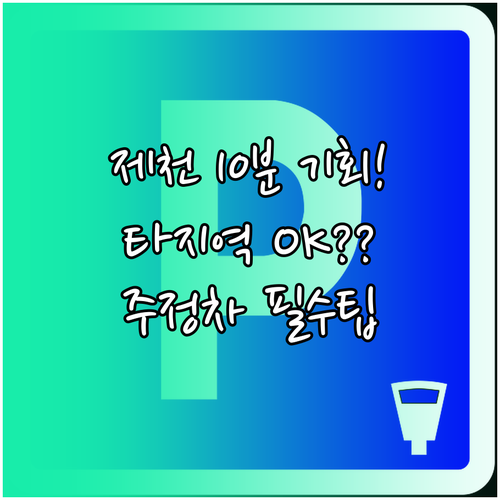 제천시 주정차 알림 서비스 10분의 ..