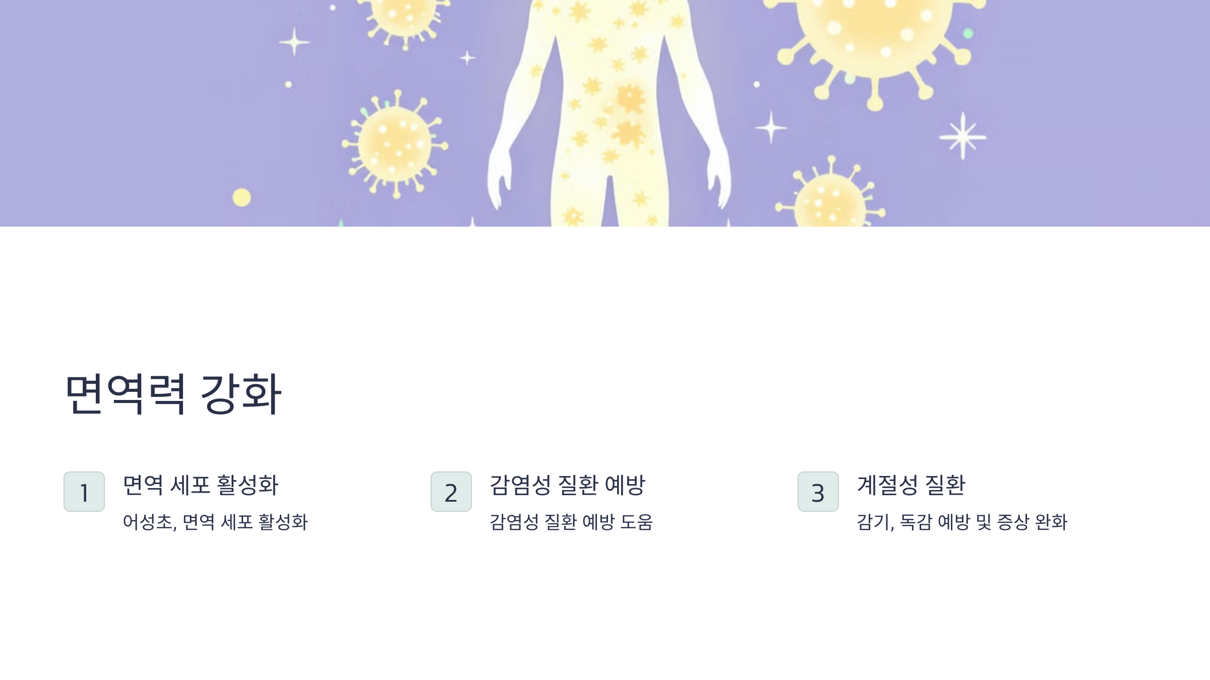 어성초 사진입니다.