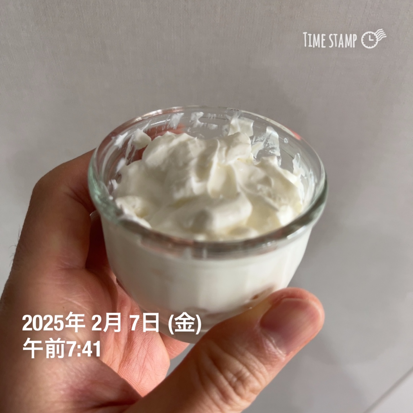 내가 만드는 그릭요거트 1