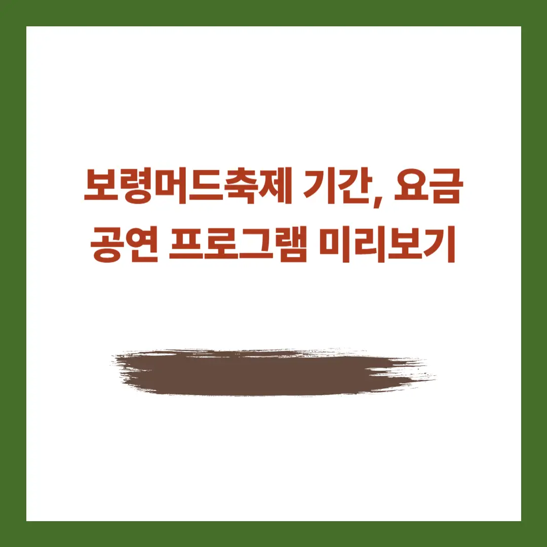 보령머드축제-기간