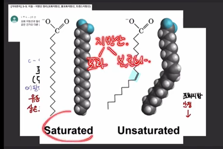 포화지방 불포화지방 구조 비교