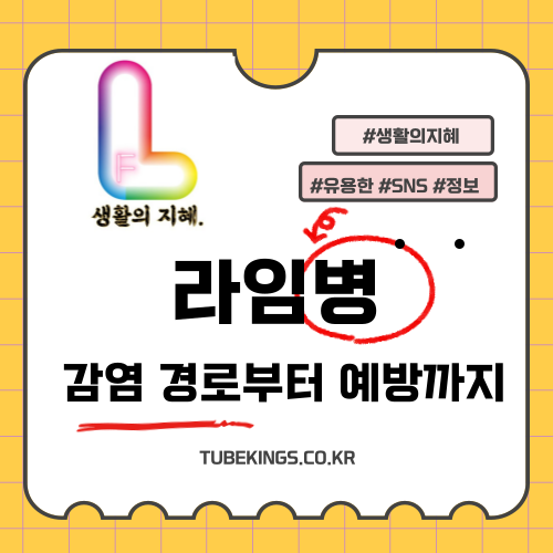 라임병: 감염 경로부터 예방까지 알아야 할 모든 것