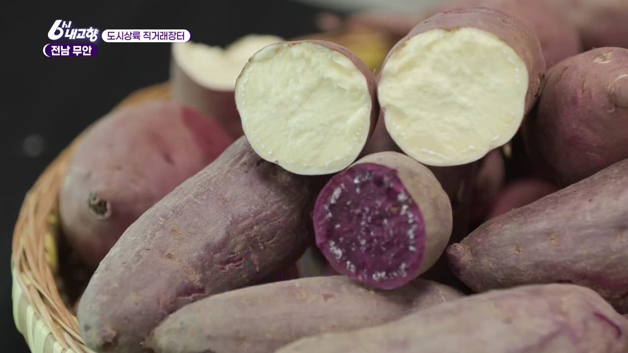6시내고향 도시상륙 직거래장터 전남 무안 고구마를 반으로 자른 모습