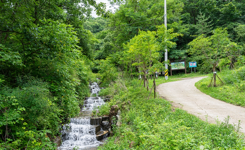 고대산자연휴양림