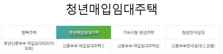 LH 청년매임임대주택 사업