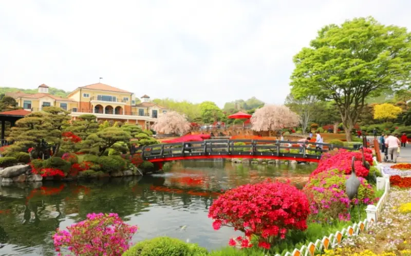 베어트리파크 철쭉축제 봄과 철쭉