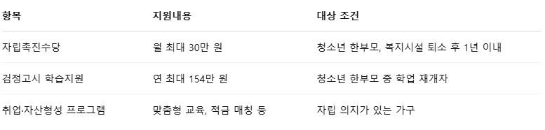 추가 지원 (복지급여 외 프로그램)