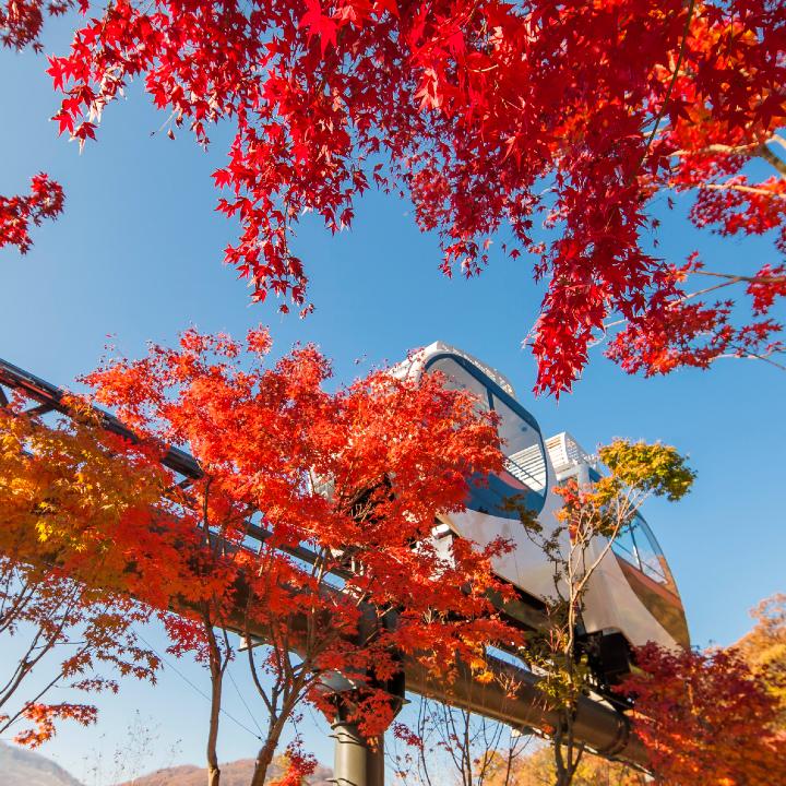 화담숲 예약 경쟁 피하는 법｜조용히 즐기는 시간대 공개