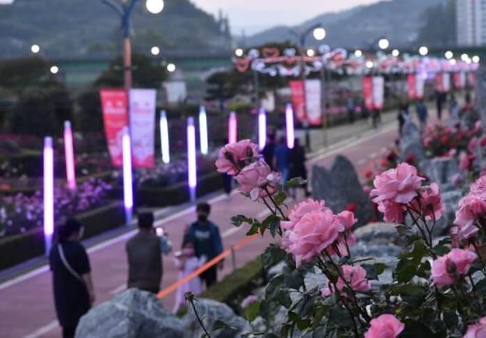 5월 강원도 축제