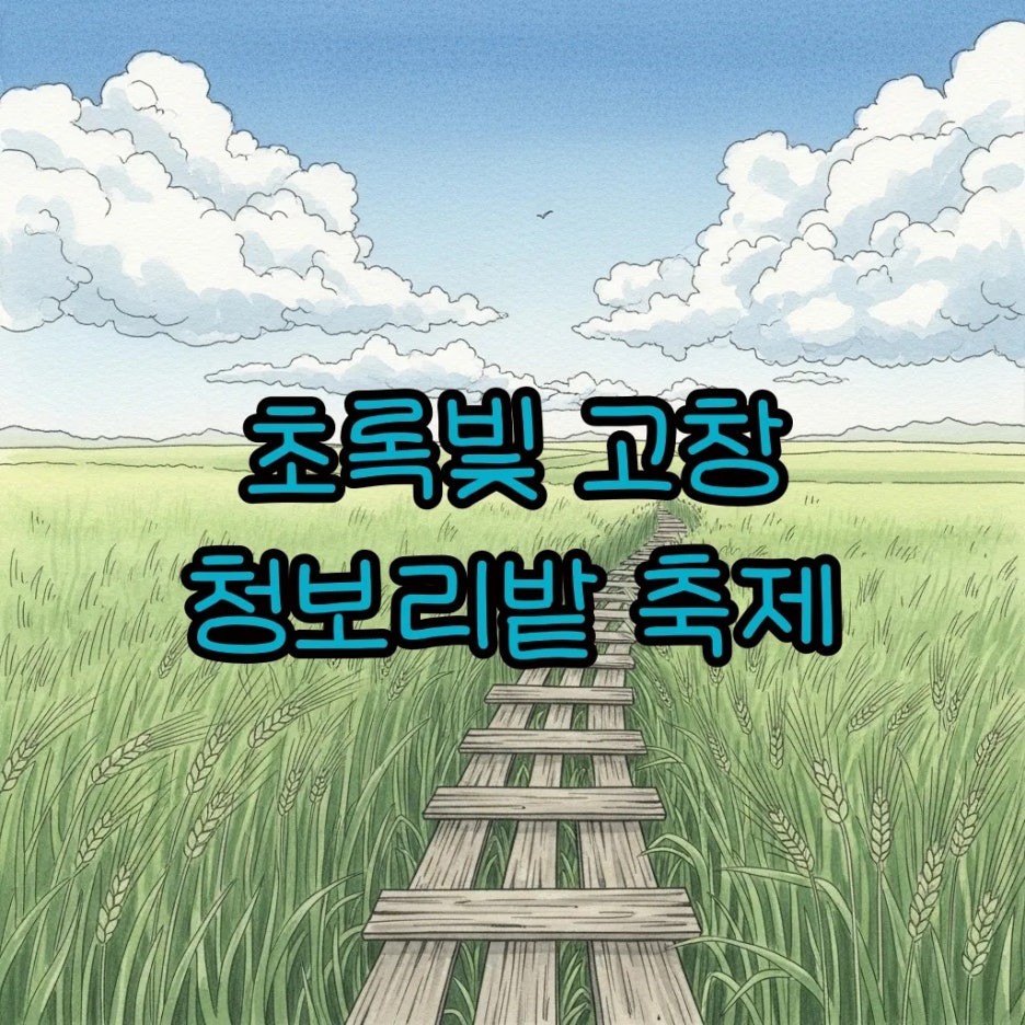 푸른 하늘 아래 끝없이 펼쳐진 초록빛 고창 청보리밭 풍경