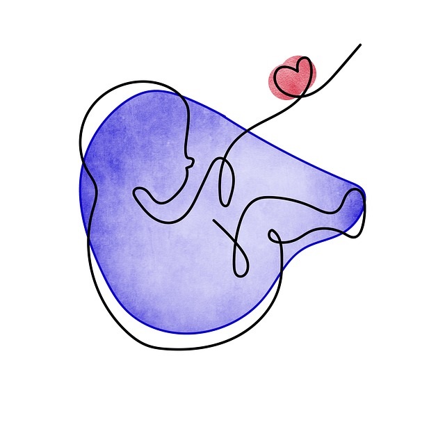 출산가구를위한주택구입지원