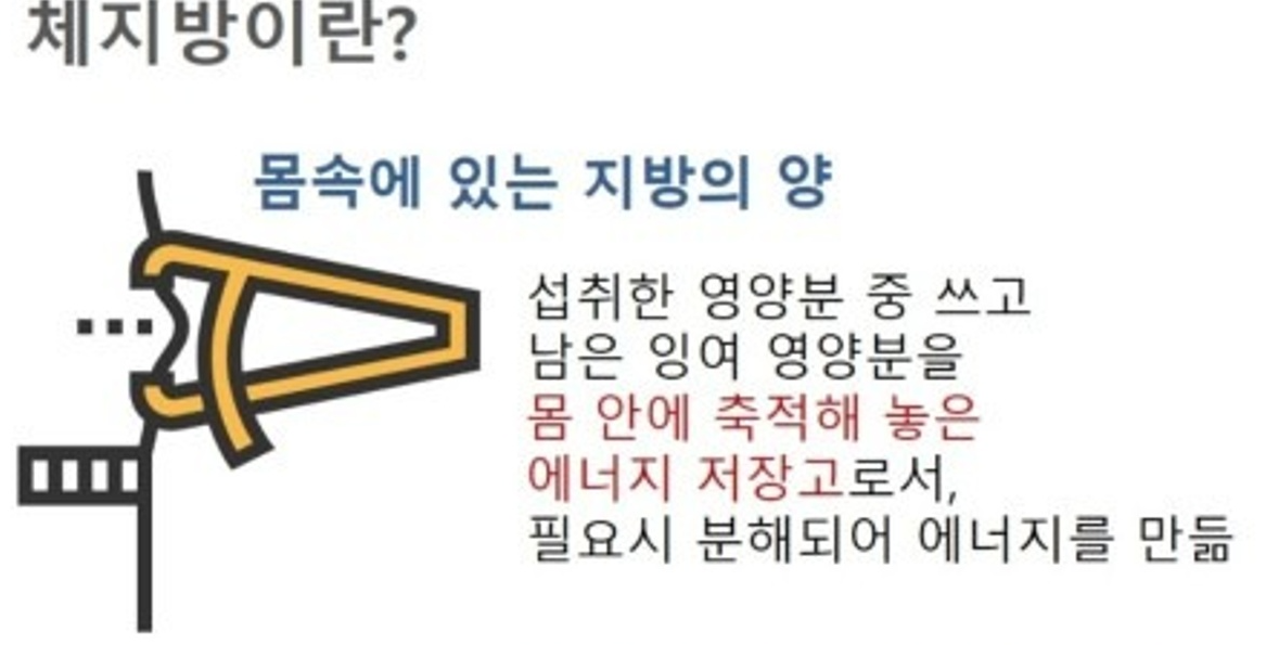체지방
