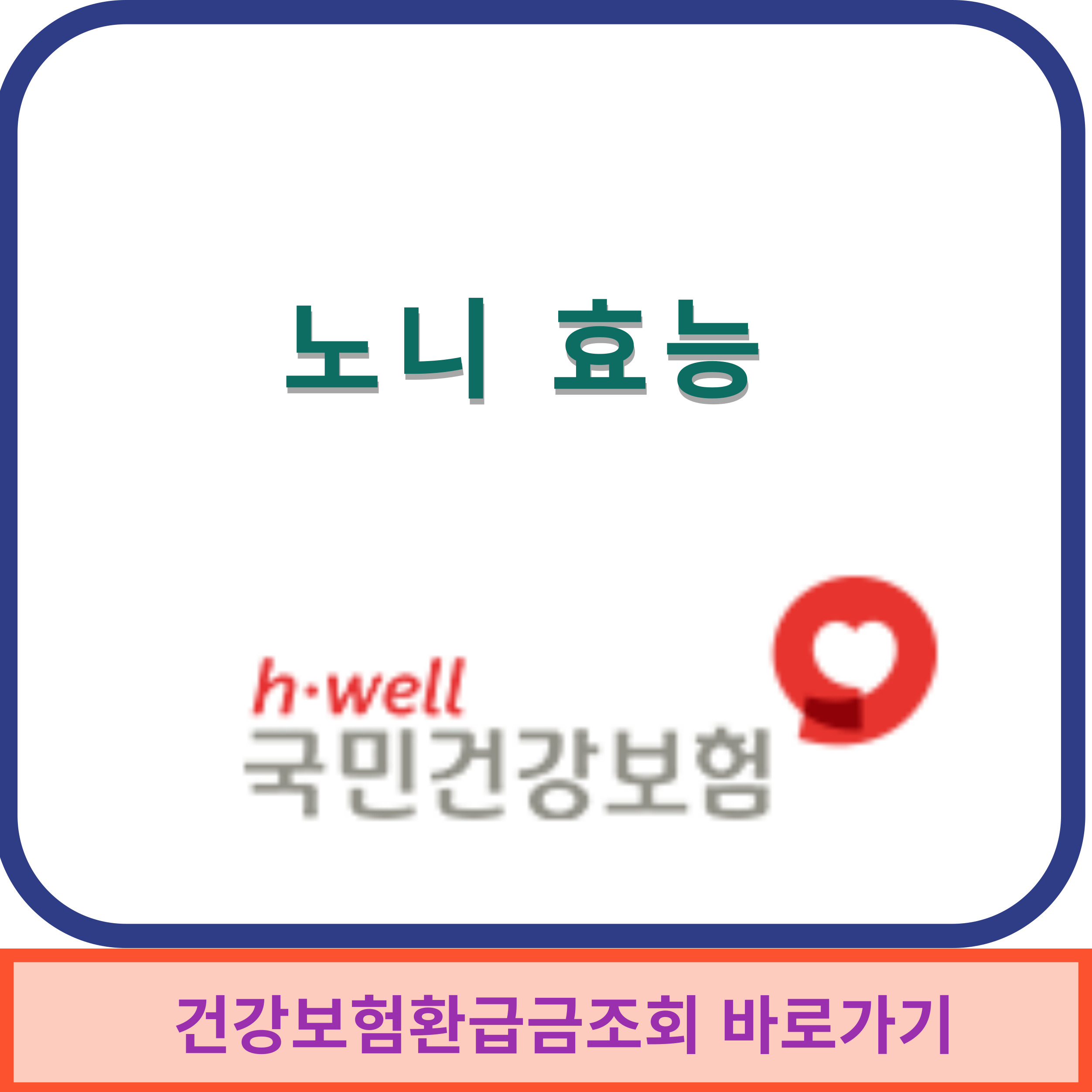 노니효능 썸네일