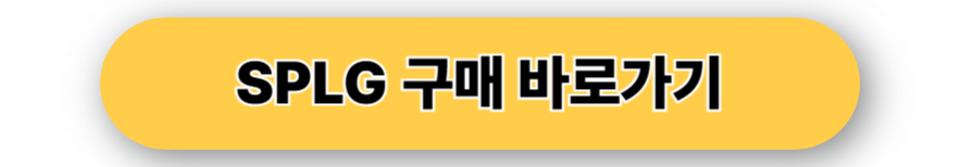 SPLG 구매