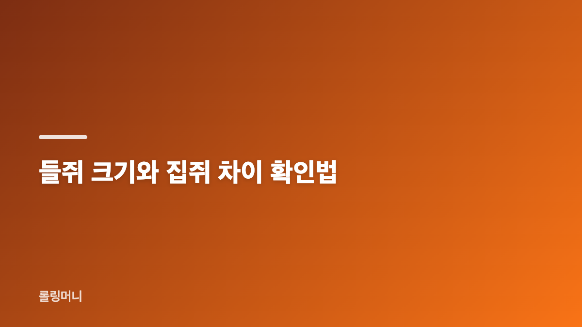 들쥐 특징과 야행성 생활 방식