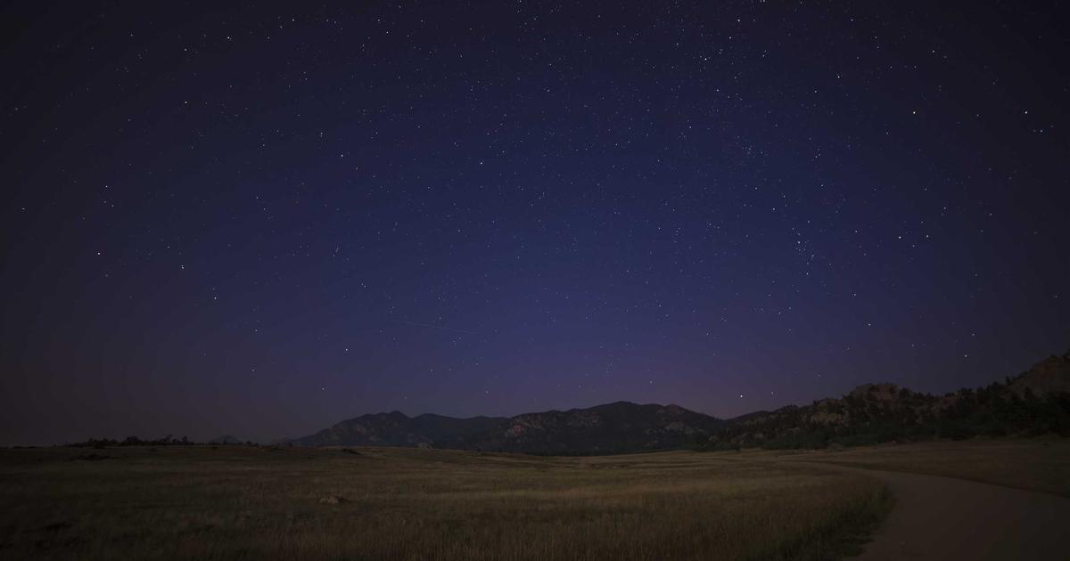 Vegan flexitarian meal prep