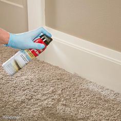 빈대 징점검리스트 신고센터