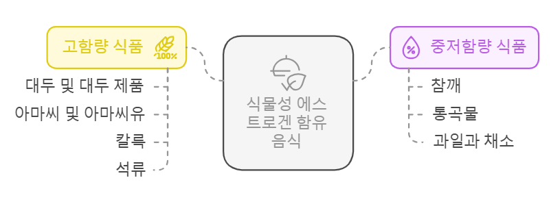 식물성 에스트로겐 함유 음식 분류