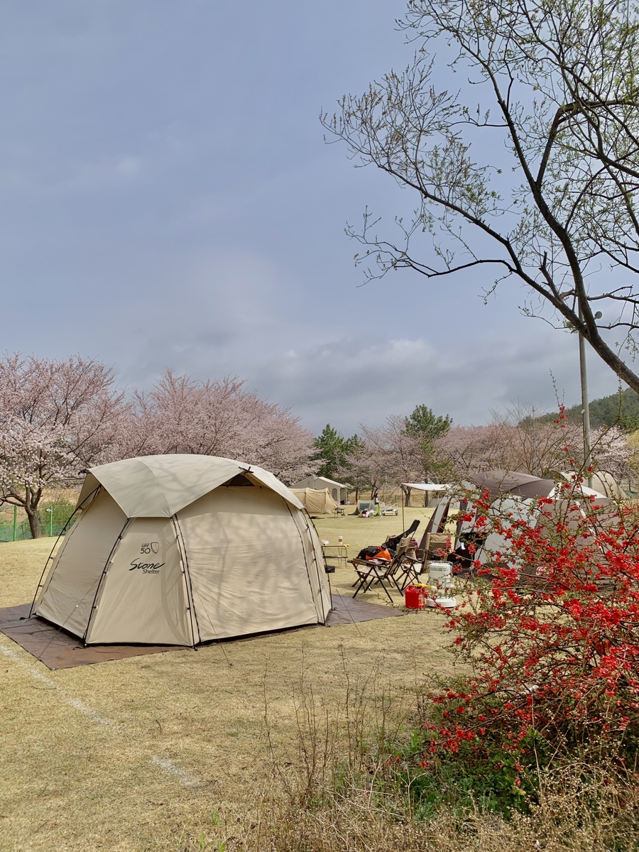 포항 칠포오토캠핑장