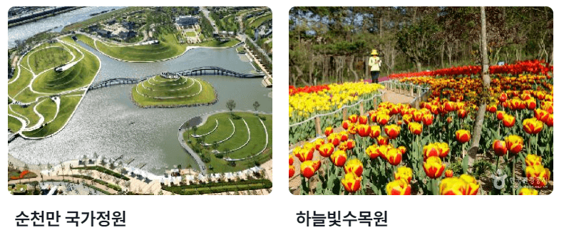 4월 전라남도 축제 가볼만한 곳 벚꽃 유채꽃 여행 추천 여행지