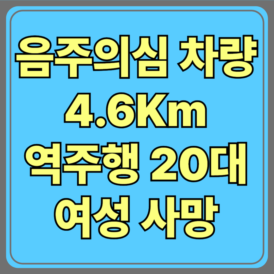 음주 의심 차량 4.6㎞ 역주행…충돌 사고로 20대 여성 숨지고 3명 중상