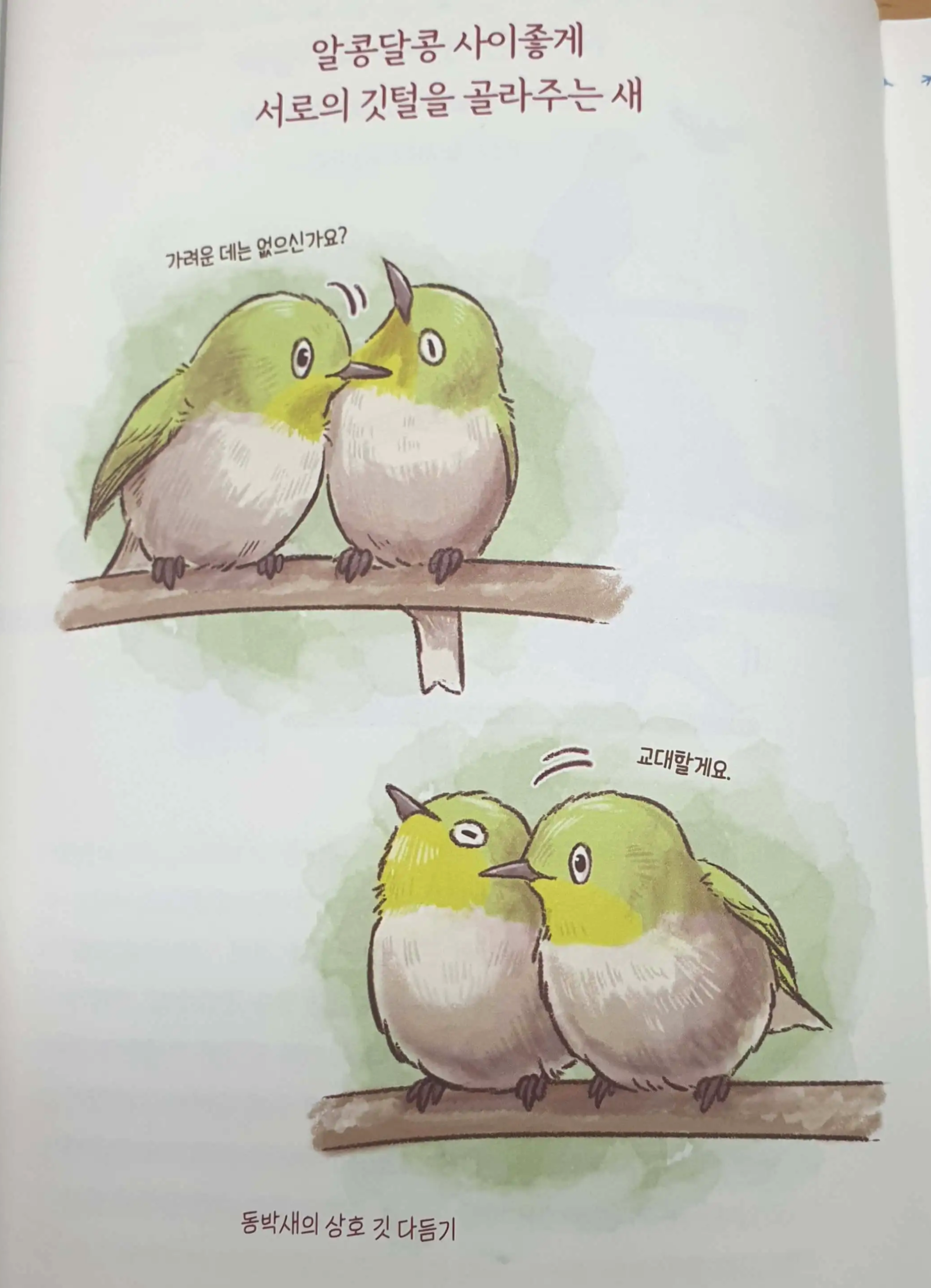 서로의-깃털을-골라주는-두-마리의-연두색-동박새-삽화