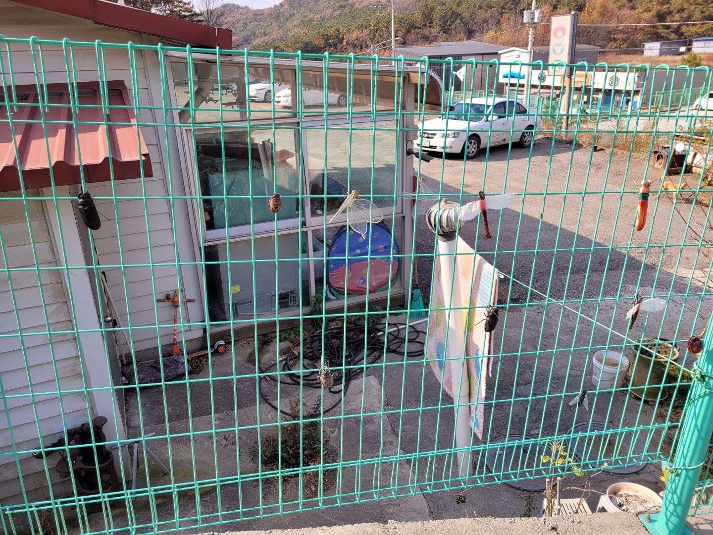 프렌쥬랜드 철조망 동물들