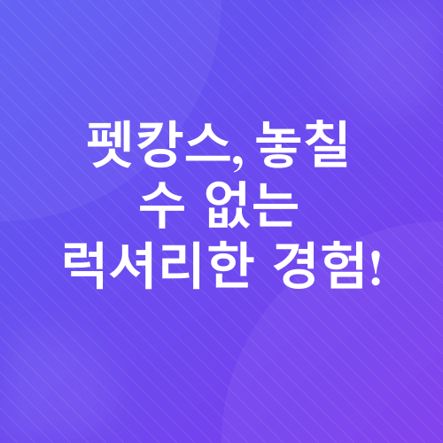 반려견 동반 여행_2