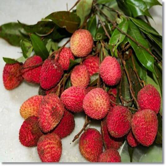 리치 효능 및 활성 성분 먹는 법과 주의점