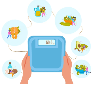 체지방률 정상범위 및 나의 체지방 계산하기