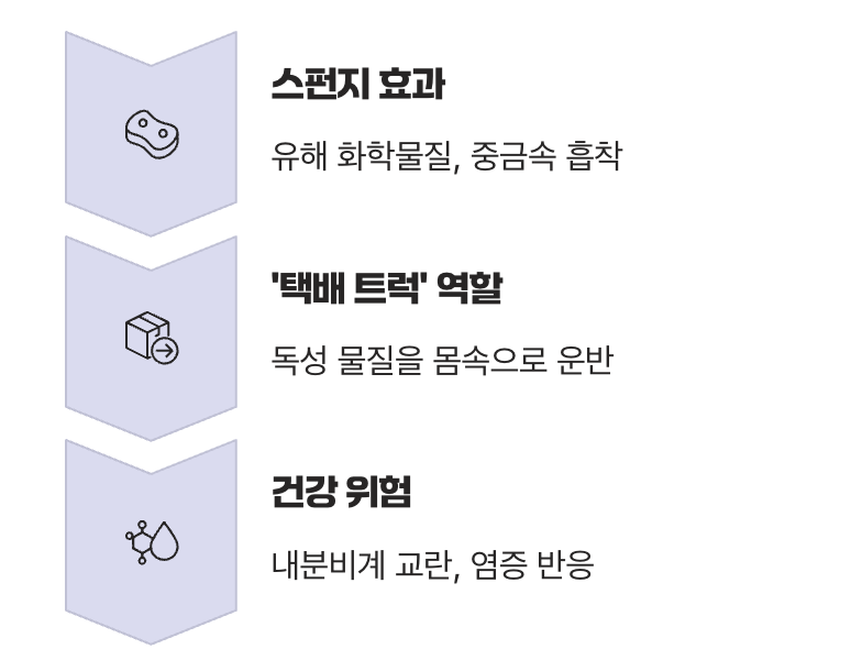 우리 몸에 들어오면, 정말 괜찮을까?