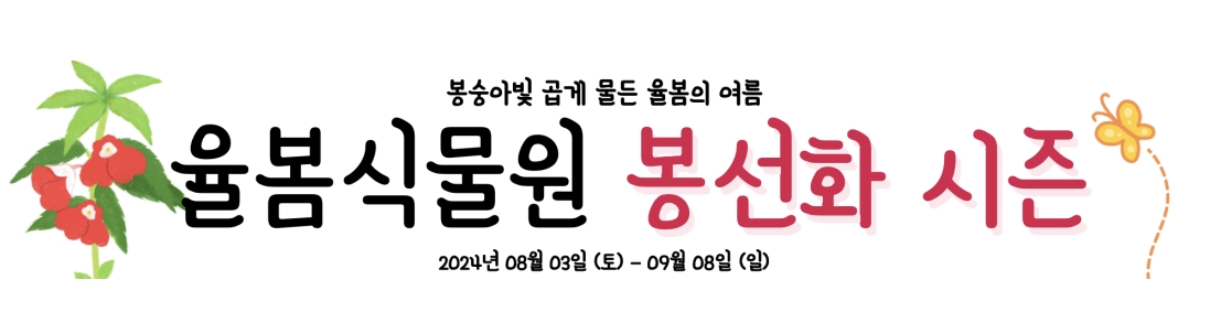 전국 9월 지역 축제 일정 가볼만한곳