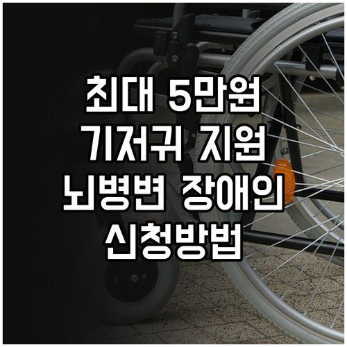 경기도 2025 뇌병변 장애인 기저귀..