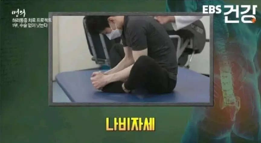허리통증 운동 나비자세