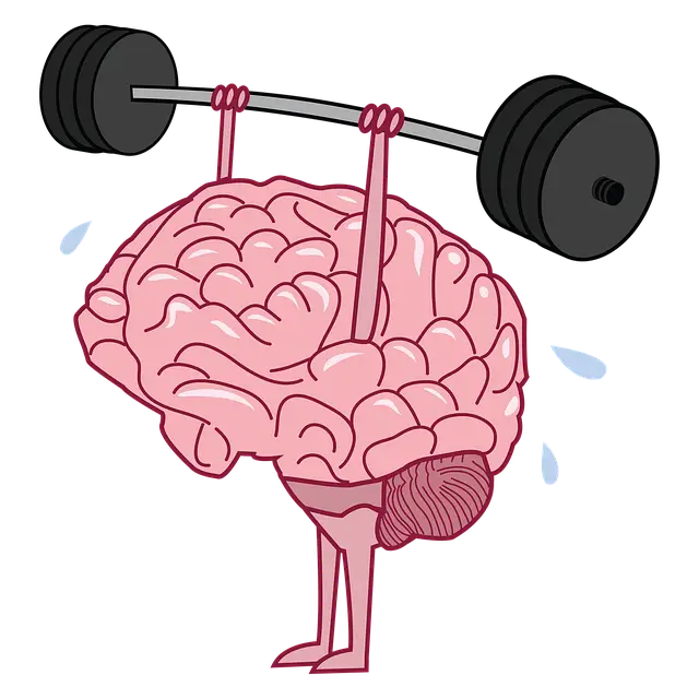 시냅스의 역할과 신경전달물질: 신경 회로에서 정보 전달의 복잡성
