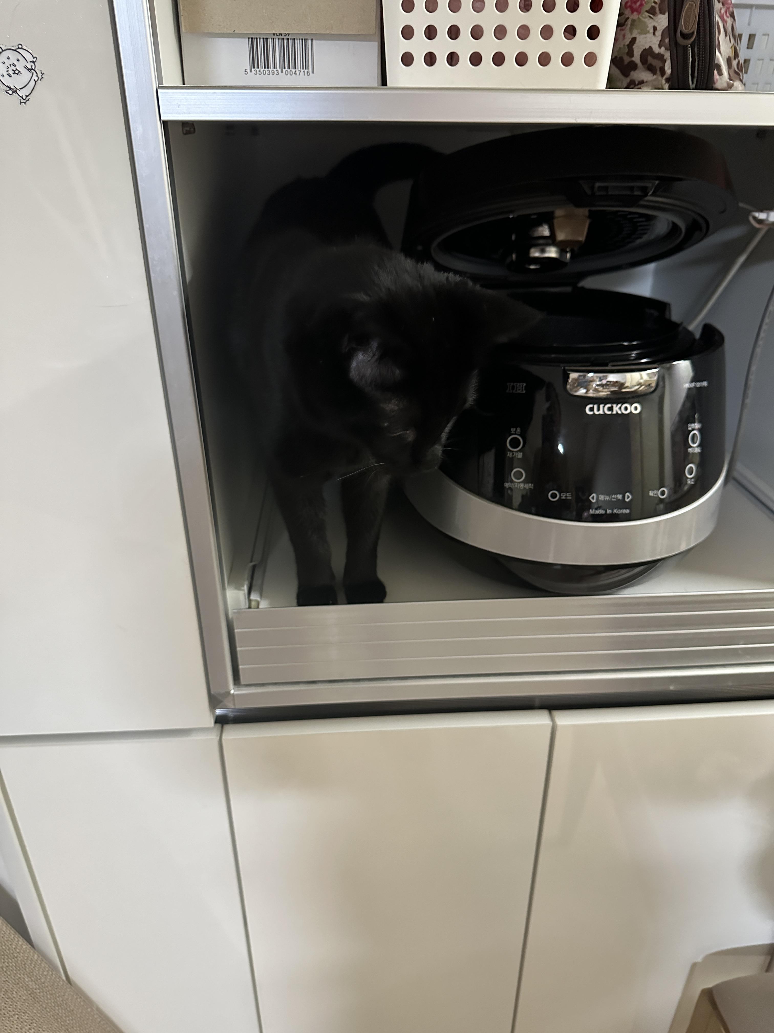 지정석으로_올라간_건이