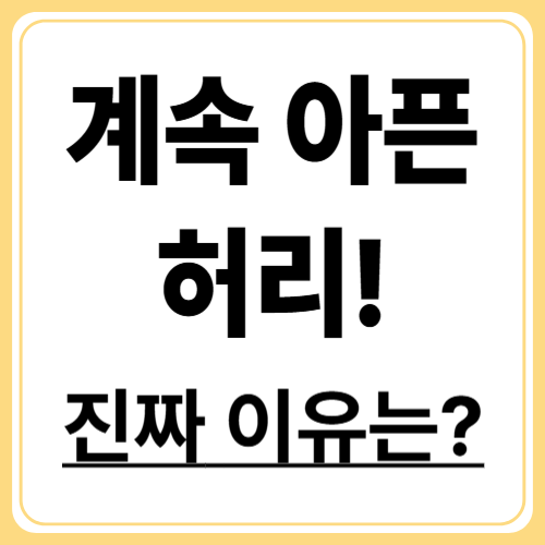 허리통증의 진짜 원인? 증상별 구분법과 치료 가이드