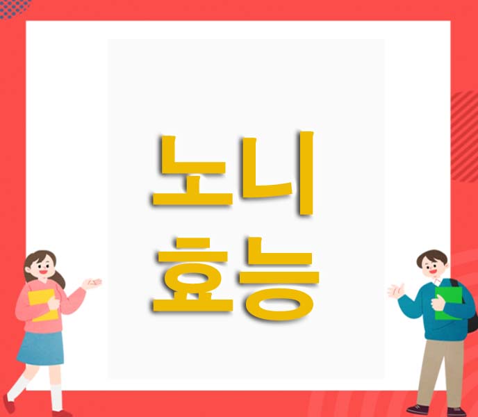 노니 효능