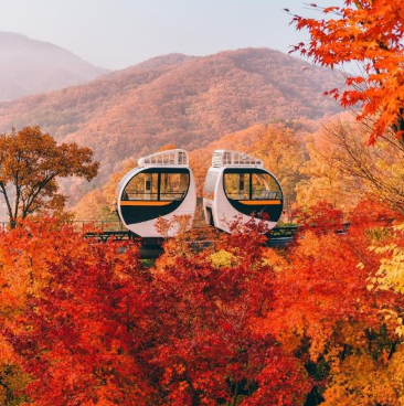 화담숲 예약 3분만에 성공하는 꿀팁