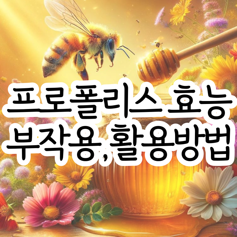 프로폴리스 효능 효과 부작용 프로폴리스 원액 활용방법