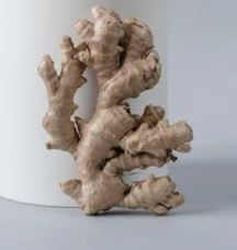 비염에 좋은 음식 10가지