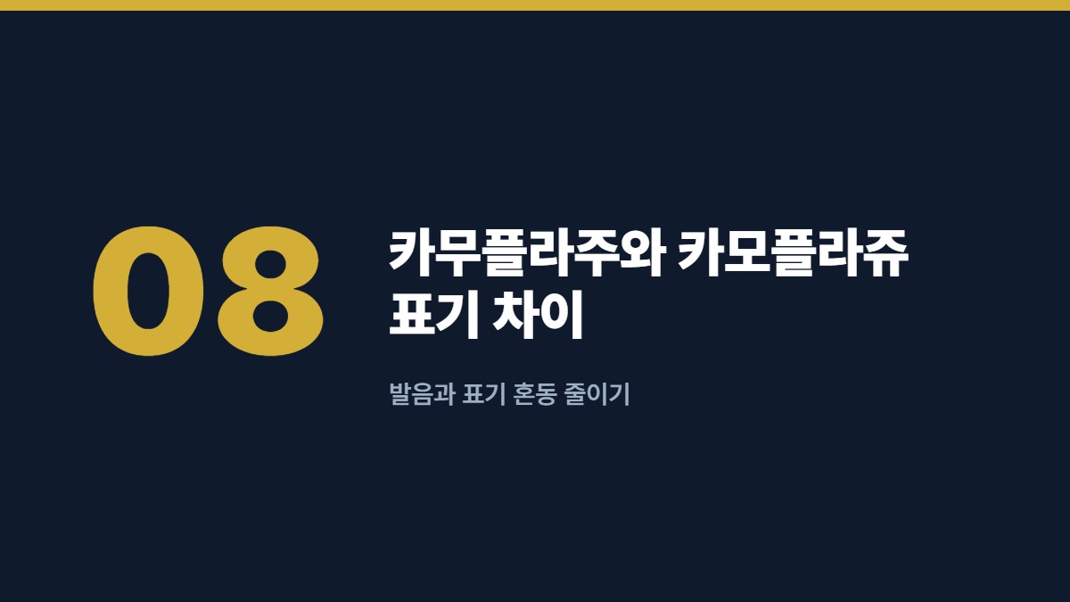 카무플라주와 카모플라쥬 표기 차이 — 발음과 표기 혼동 줄이기