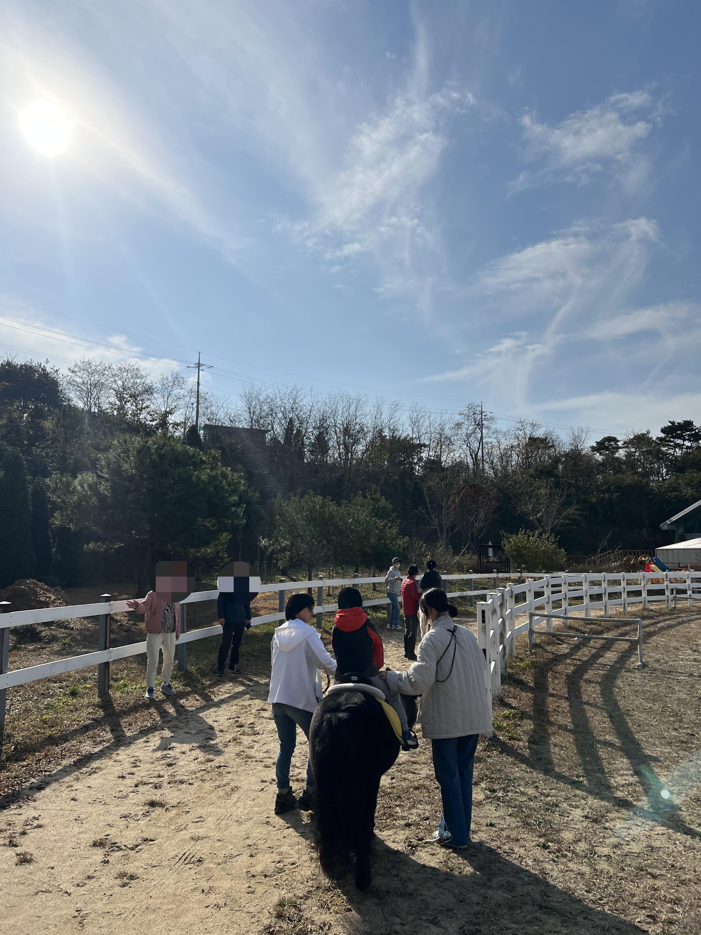 궁평캠프승마장