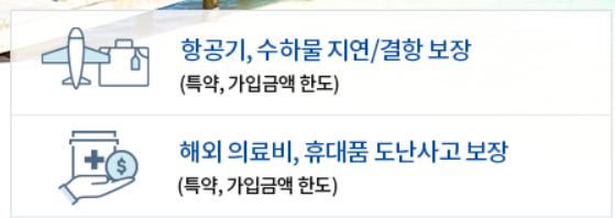 삼성화재 다이렉트 해외여행보험