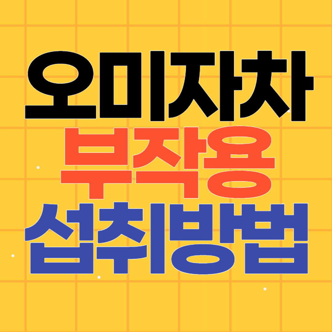 오미자차 부작용 섭취방법