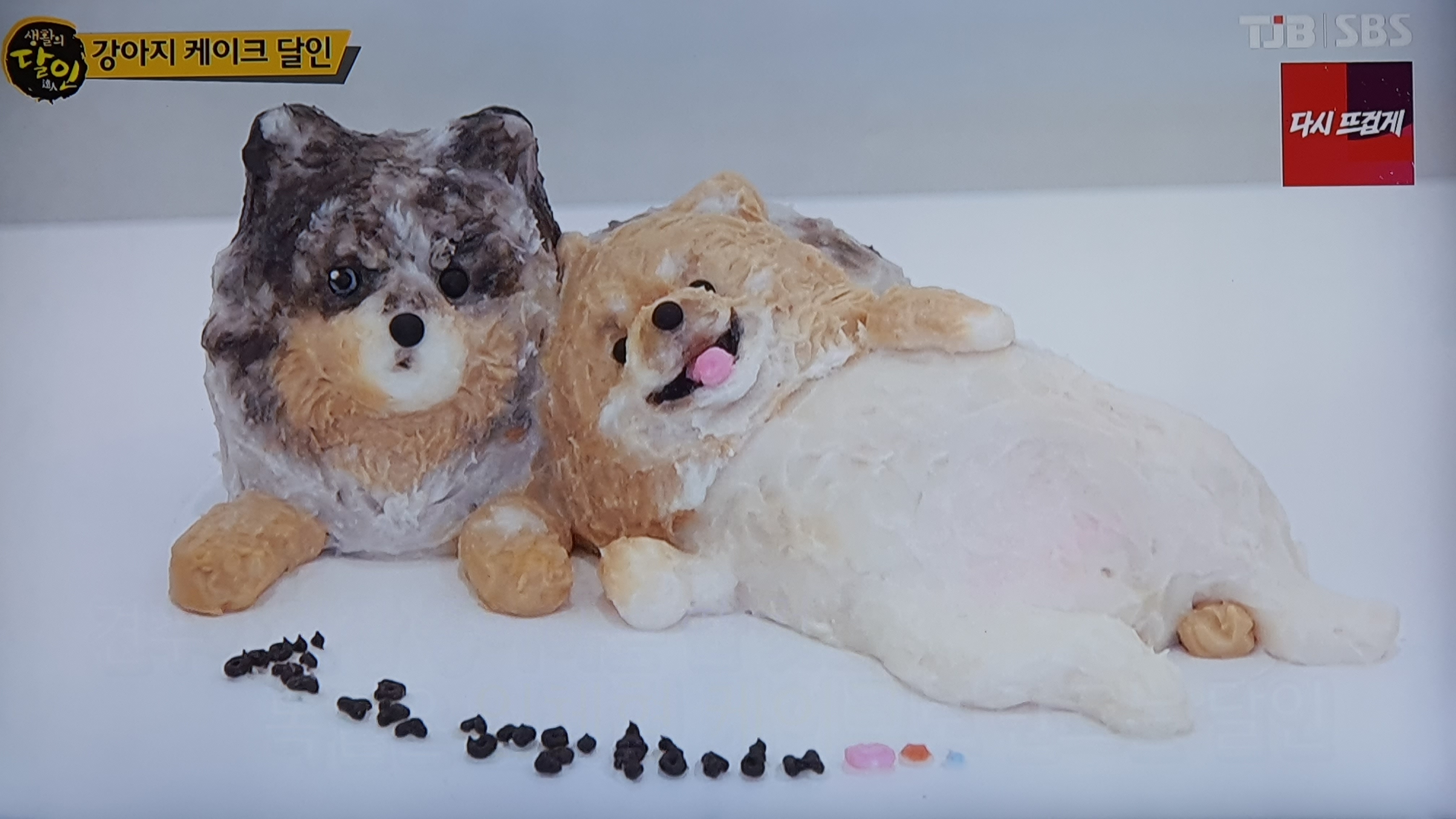 왈테이블 가격 정보