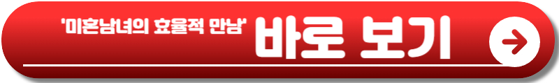 미혼남녀의 효율적 만남