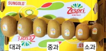 골드키위 효능 부작용_7